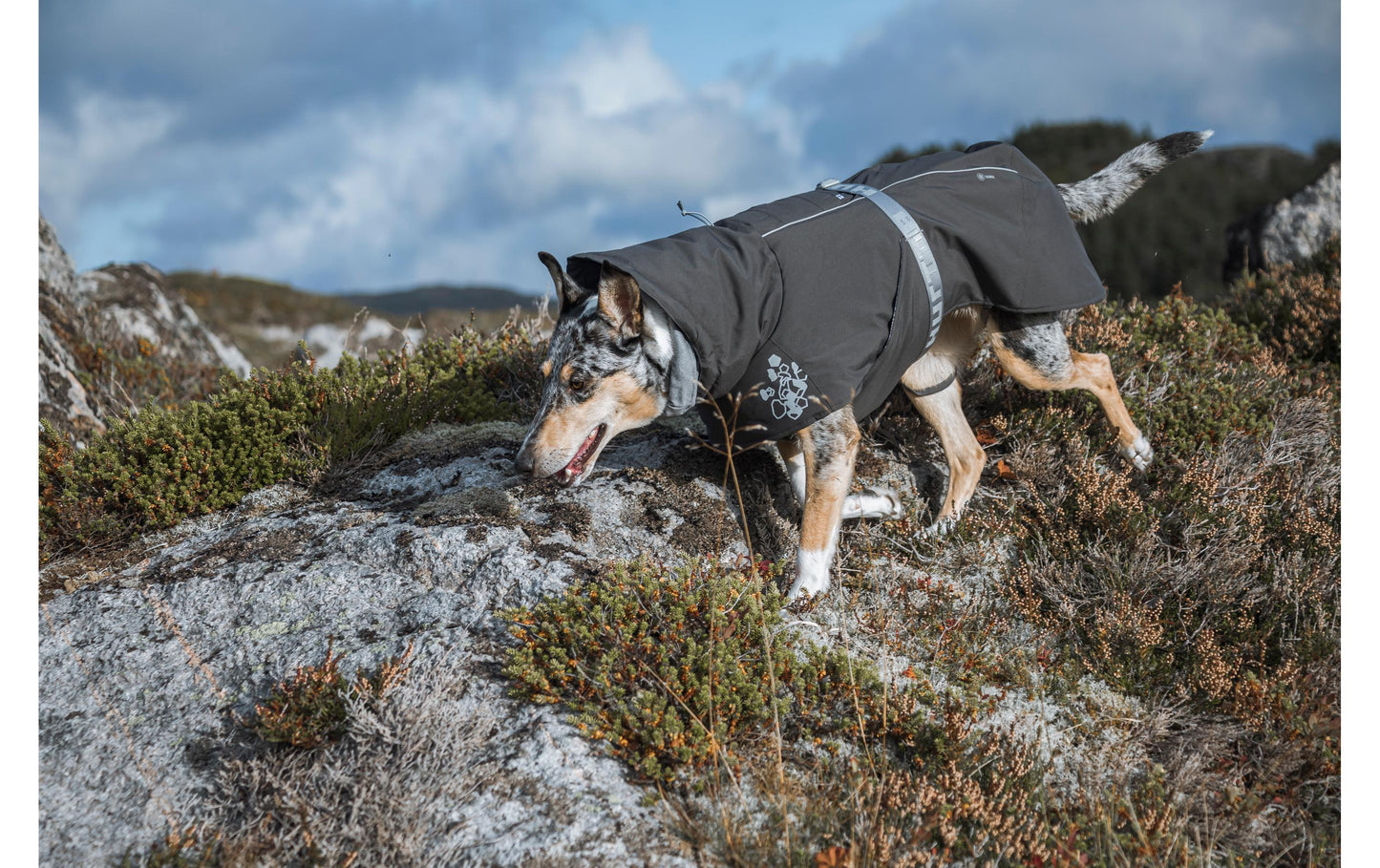 HURTTA winter coat Extremely Warm 2 wine red