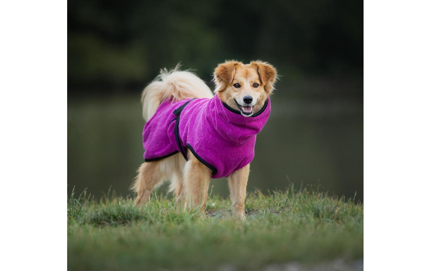 deek DryDog dog bathrobe size L
