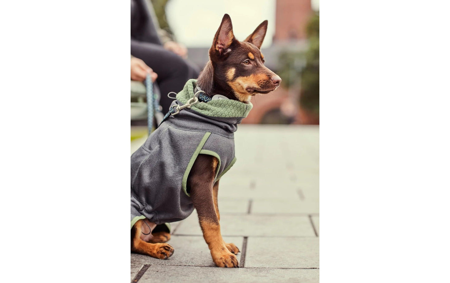 HURTTA Razzle-Dazzle Midlayer Dog Coat